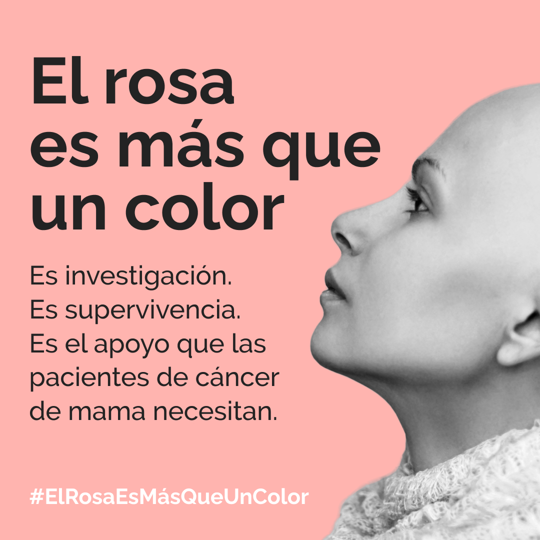 ElRosaEsMasQueUnColor.jpg